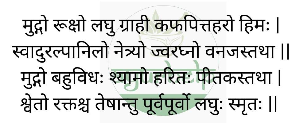 ayurveda medicinal properties and health benefits of moong or green gram or vigna radiata