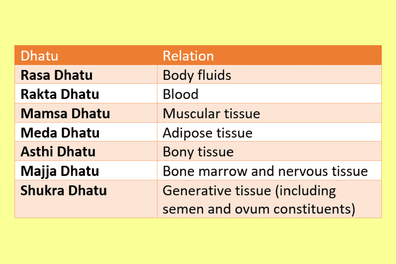 Sapta Dhatu Chart