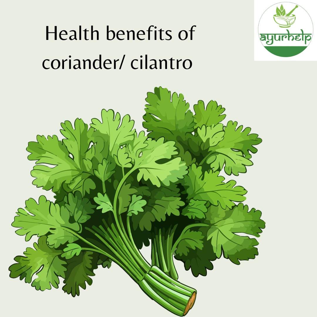 Health Benefits of Coriander